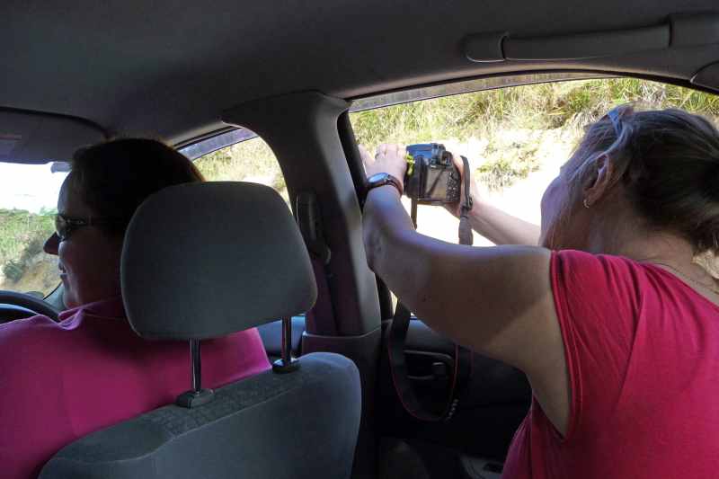 Nieuw-Zeeland 2011 - 0276